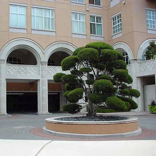 The Mansion Residences