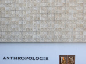 Anthropologie