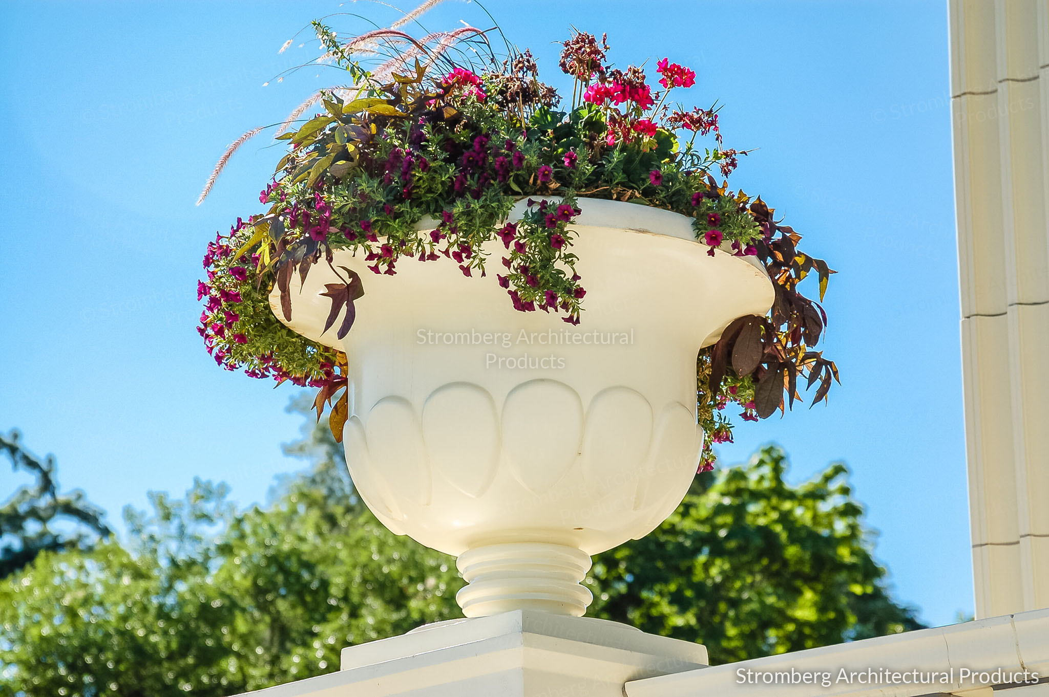 D.A. Blodgett Building