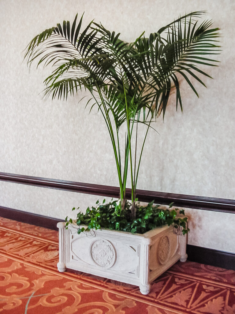 Gaylord Palms Resort and Convention Center