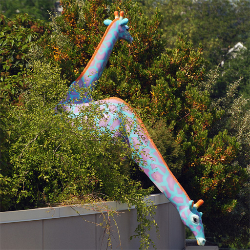 Seattle Children’s Hospital