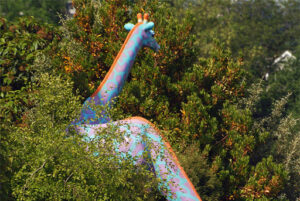 Seattle Children’s Hospital