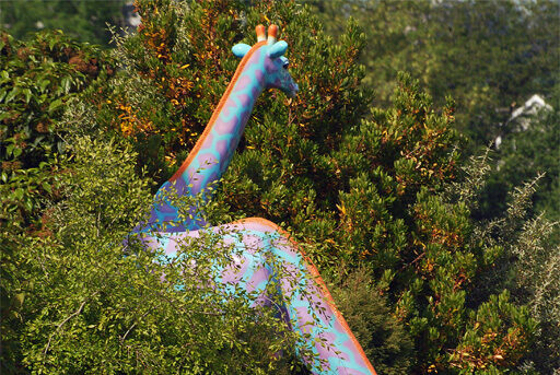 Seattle Children’s Hospital