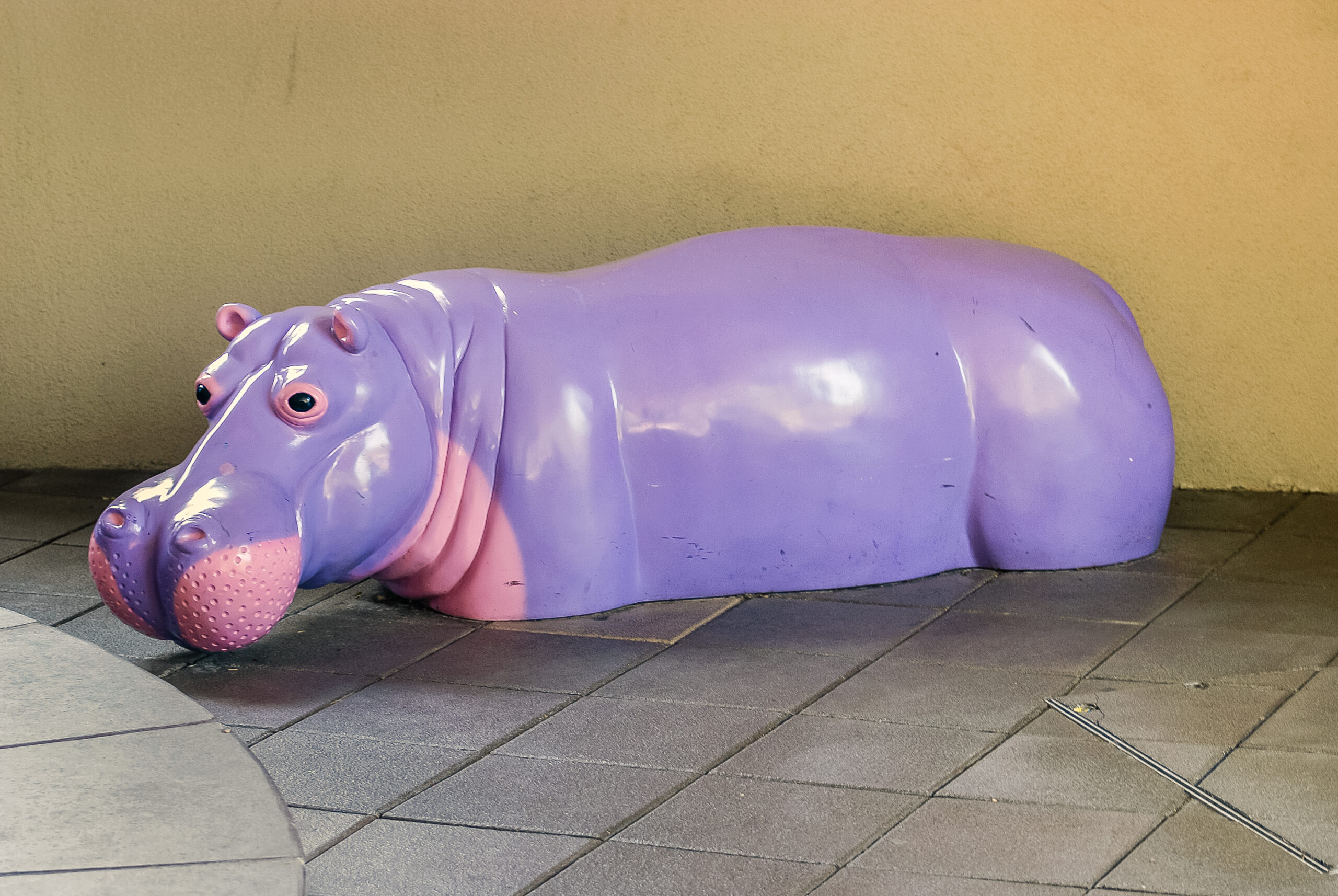 Seattle Children’s Hospital