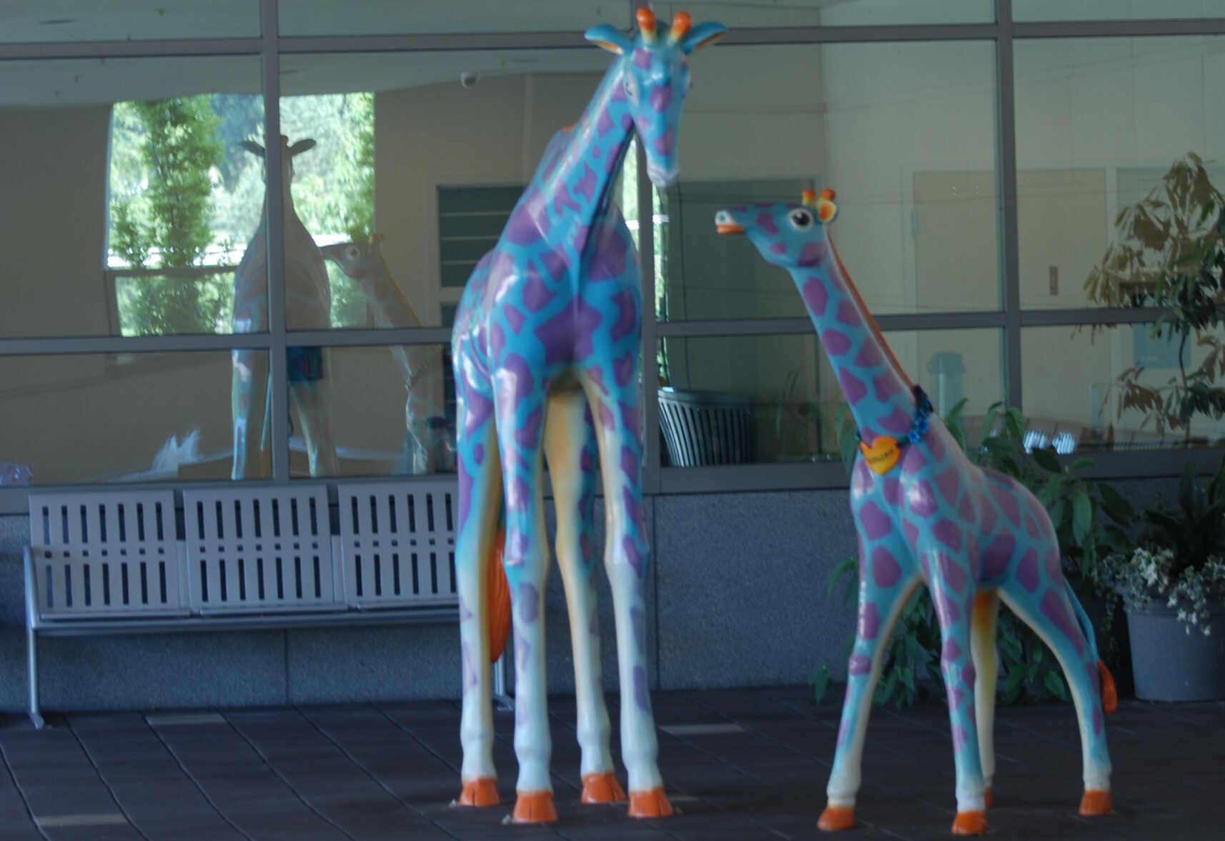 Seattle Children’s Hospital