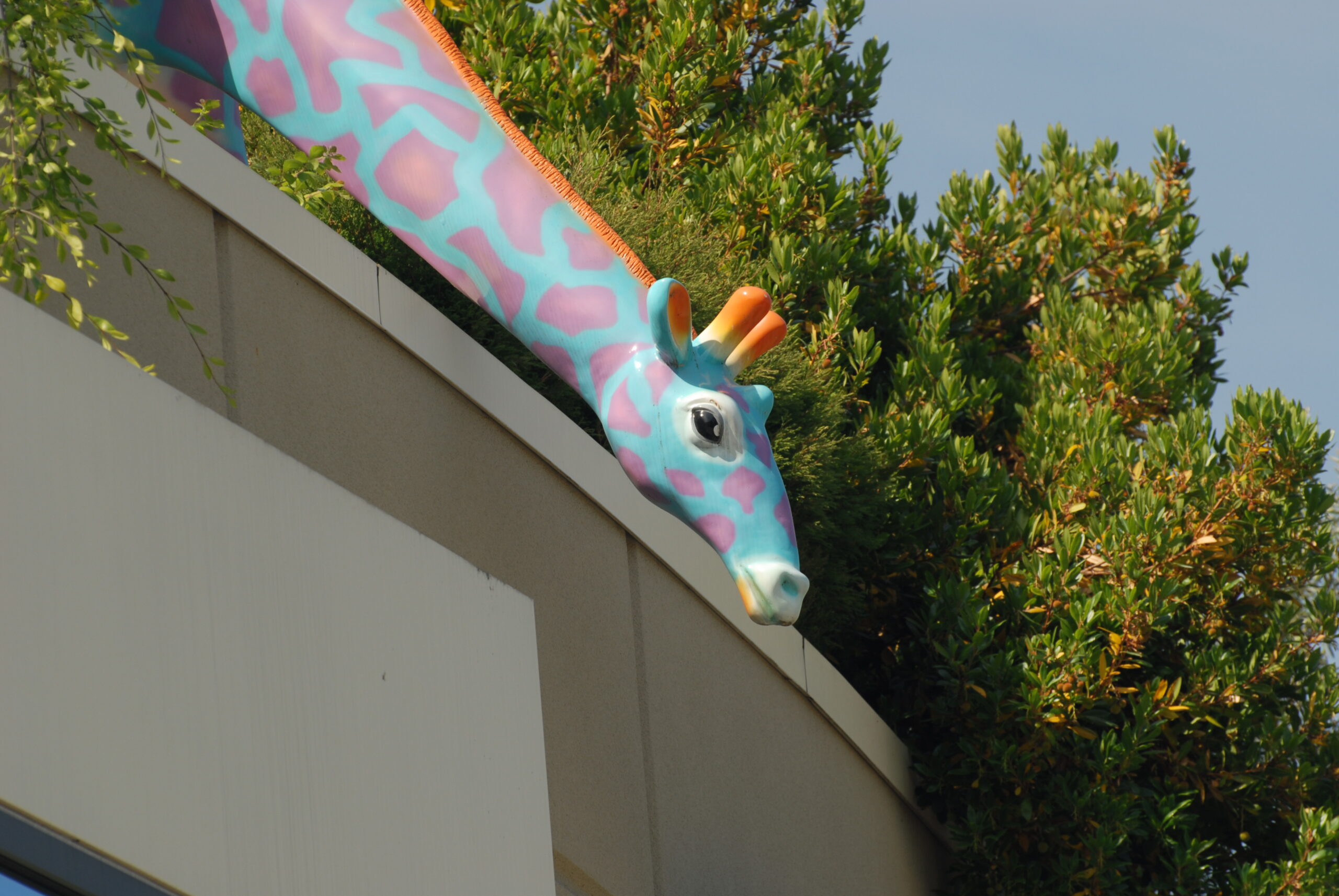 Seattle Children’s Hospital