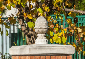 The Ridge at Meadowlake